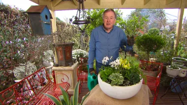 Planting Flower Pot