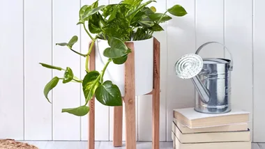 DIY: Plant Stand