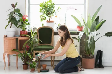 The hot new indoor plant trend of 2019