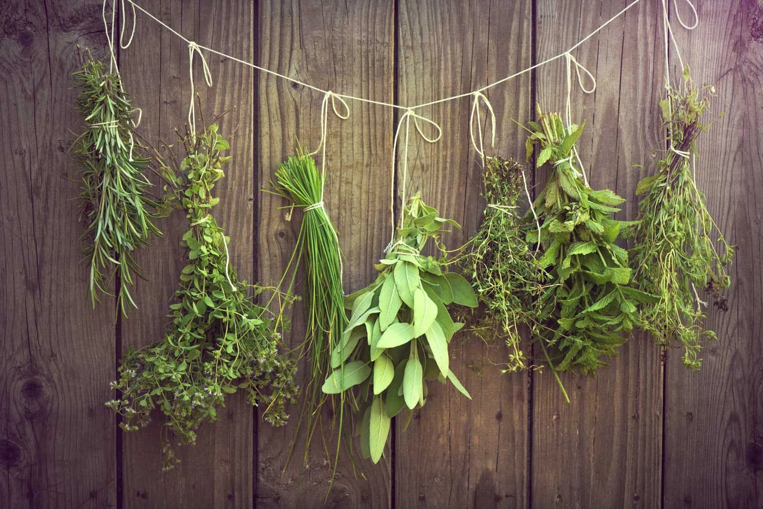 Know your herbs, and how to use them effectively