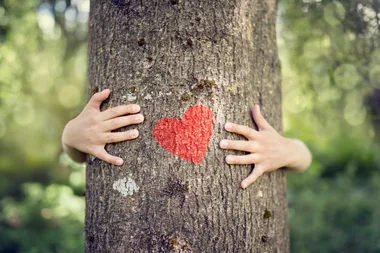 Why you need to be a hugger