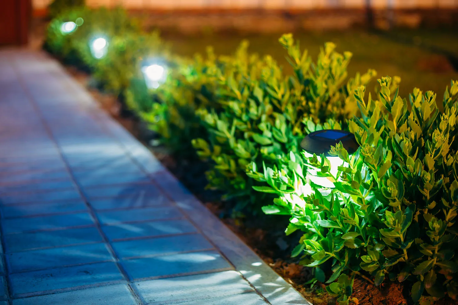 solar garden lights along footpath
