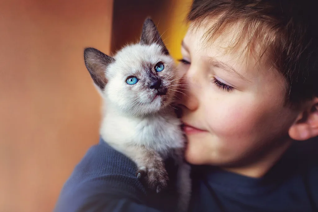 boy with cat on shoulder kitten
