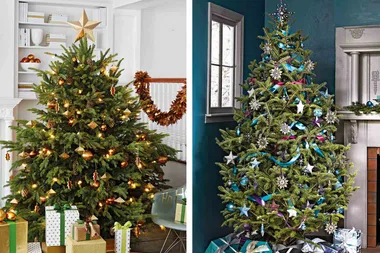 When’s the correct date to put up your Christmas tree?