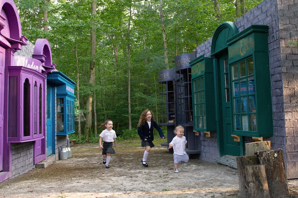 Backyard Diagon Alley project