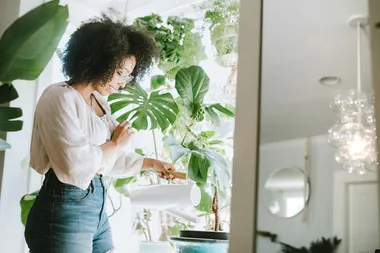 10 of the best large indoor plants and how to care for them