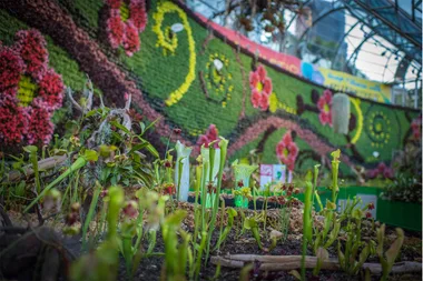 What’s new at the Royal Botanic Garden