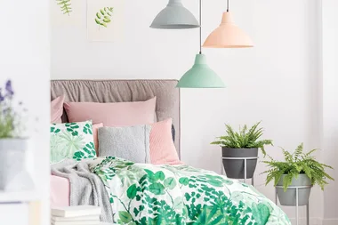 10 must-have botanical prints under $100