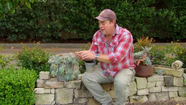How to plant for free