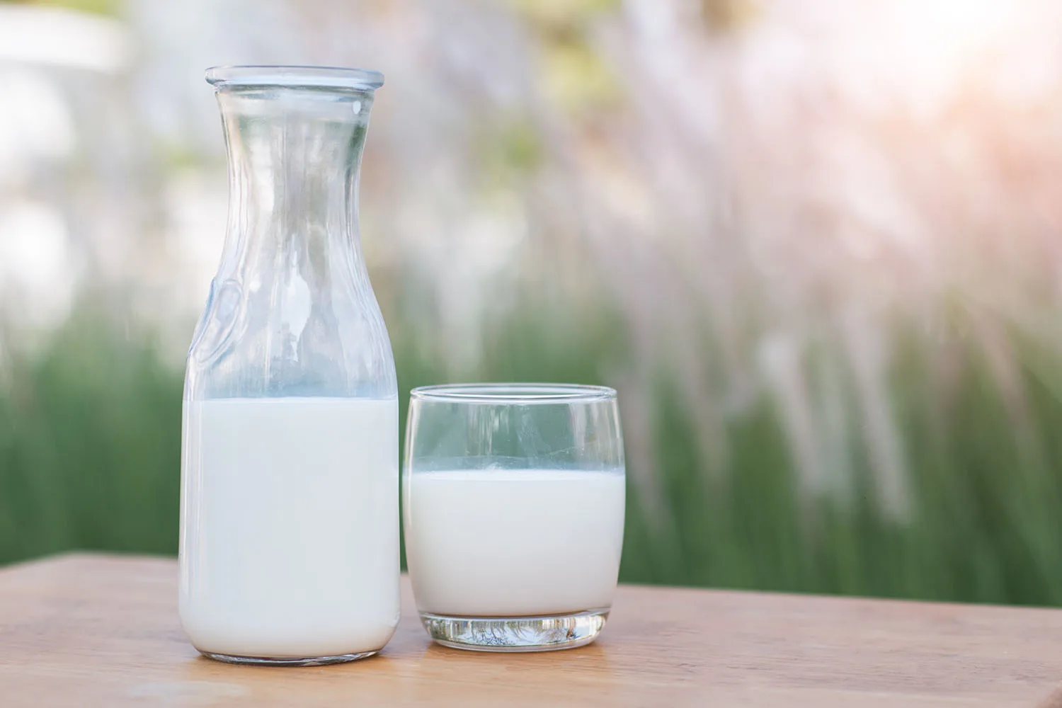 milk in a pitcher