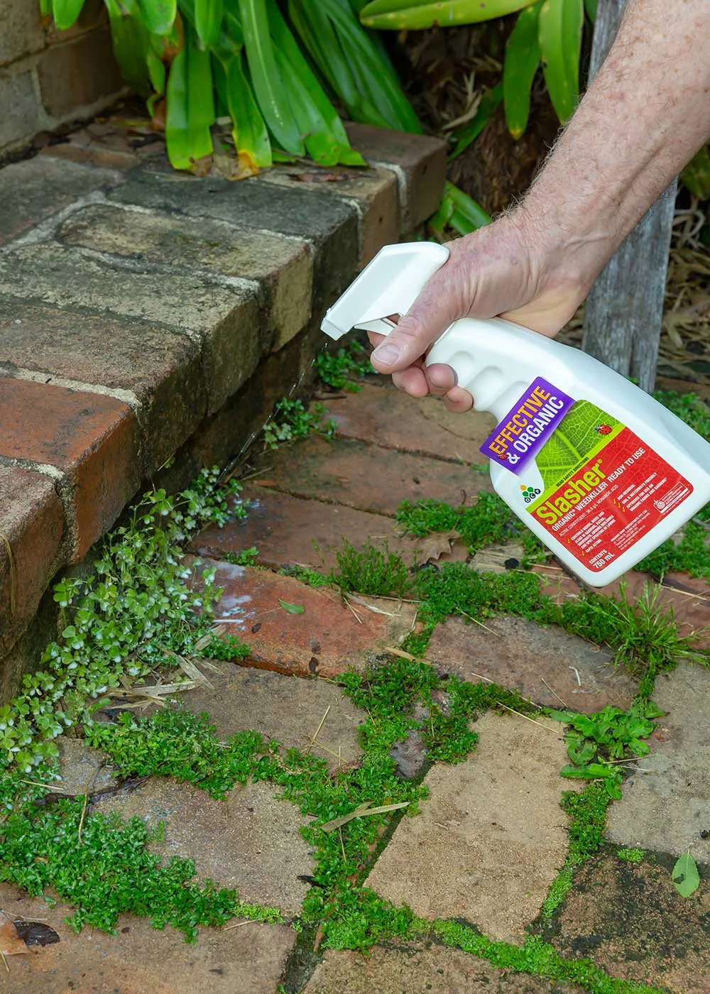 weed killer