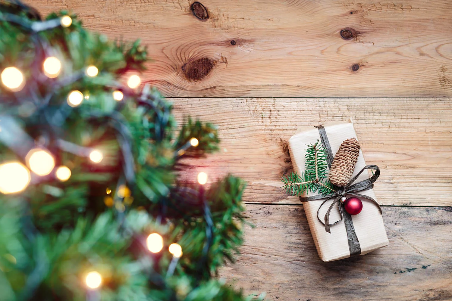 christmas gift sitting under tree