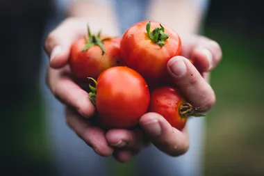 Eating more organic food may help reduce risk of these types of cancer