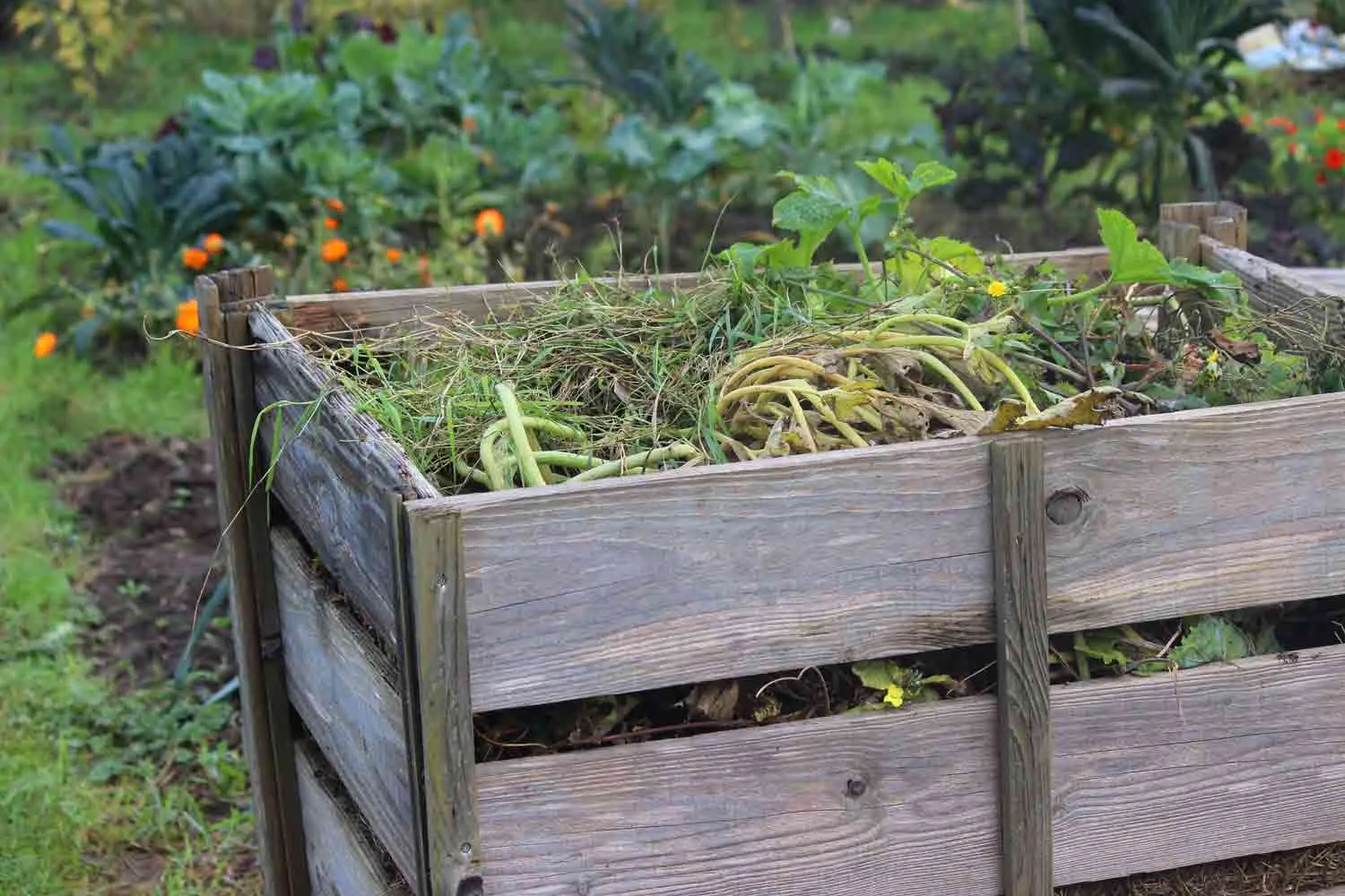 Slatted compost bin