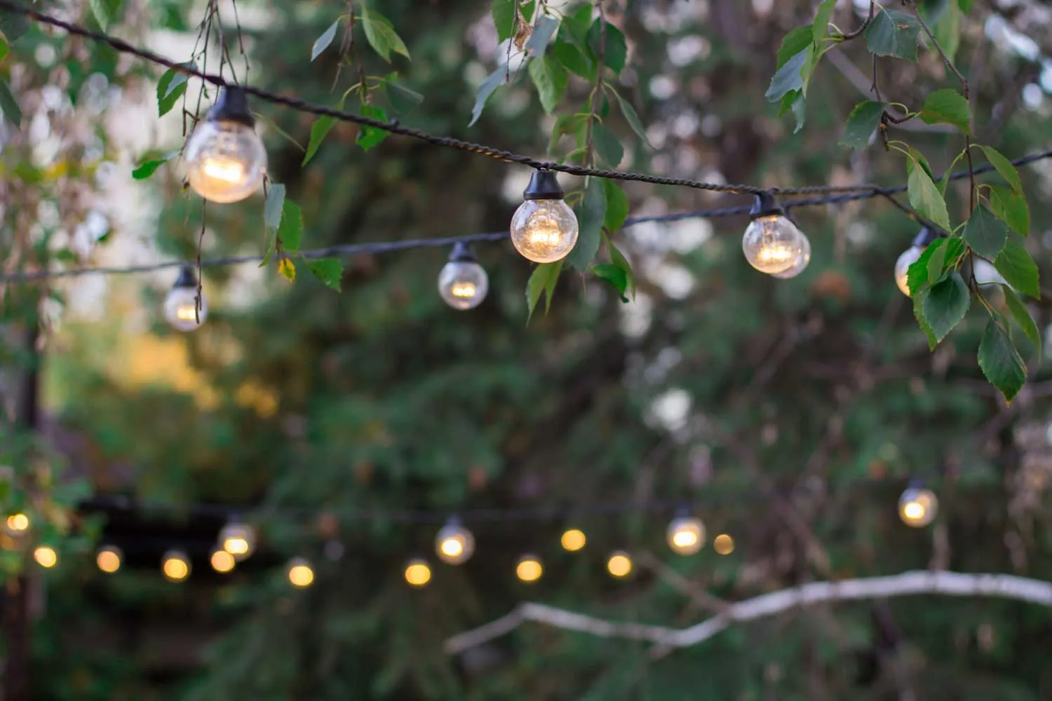 Christmas light