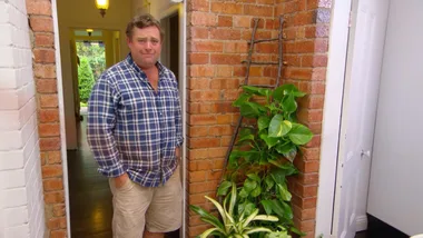 Plant climbing ladder