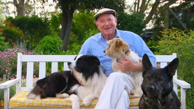 Pet Summer Safety