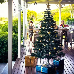 The best way to stow your Christmas tree