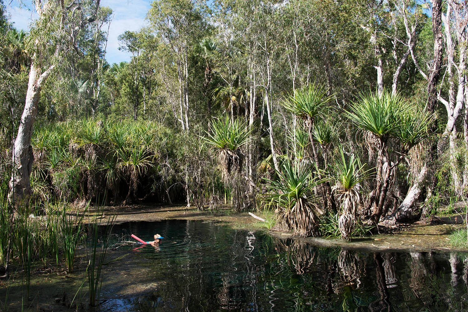 Thermal springs in Northern Territory