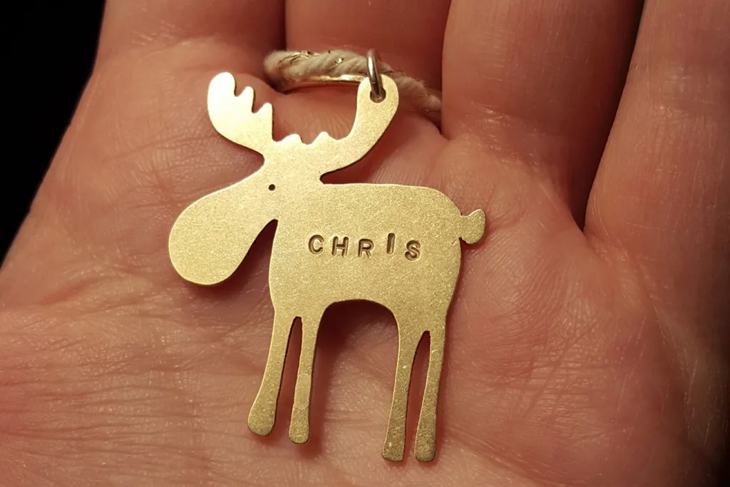 Moose decoration with Chris on it