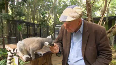 Currumbin wildlife sanctuary: lost valley