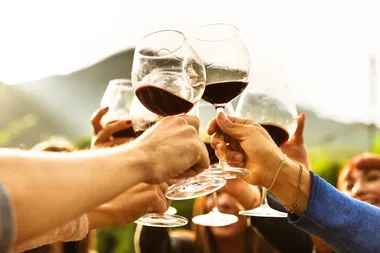 This magic wand can stop a wine hangover before it starts