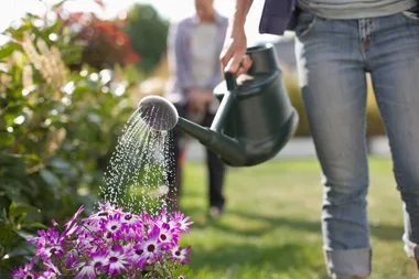 10 simple outdoor habits that will help you save water