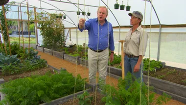 Mayfield veg garden