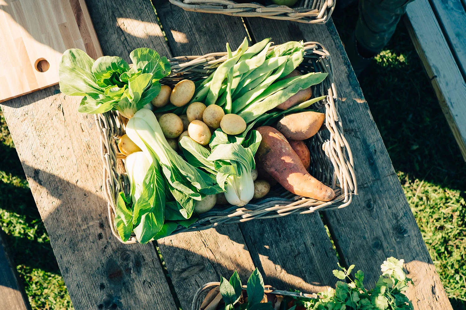 basket of fresh vegetables