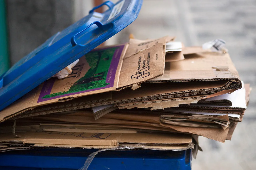 boxes in bin