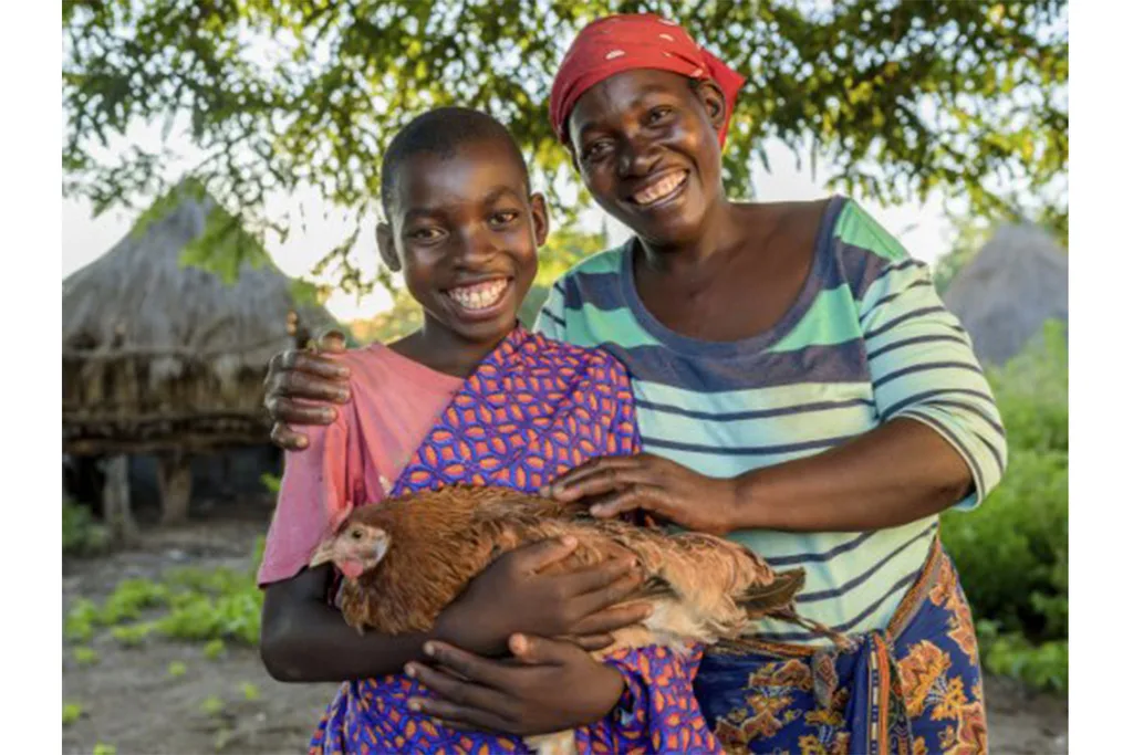World Vision chicken and eggs gift