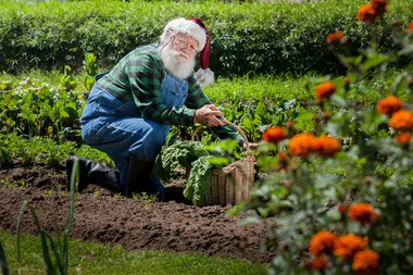 Christmas gift guide for gardeners