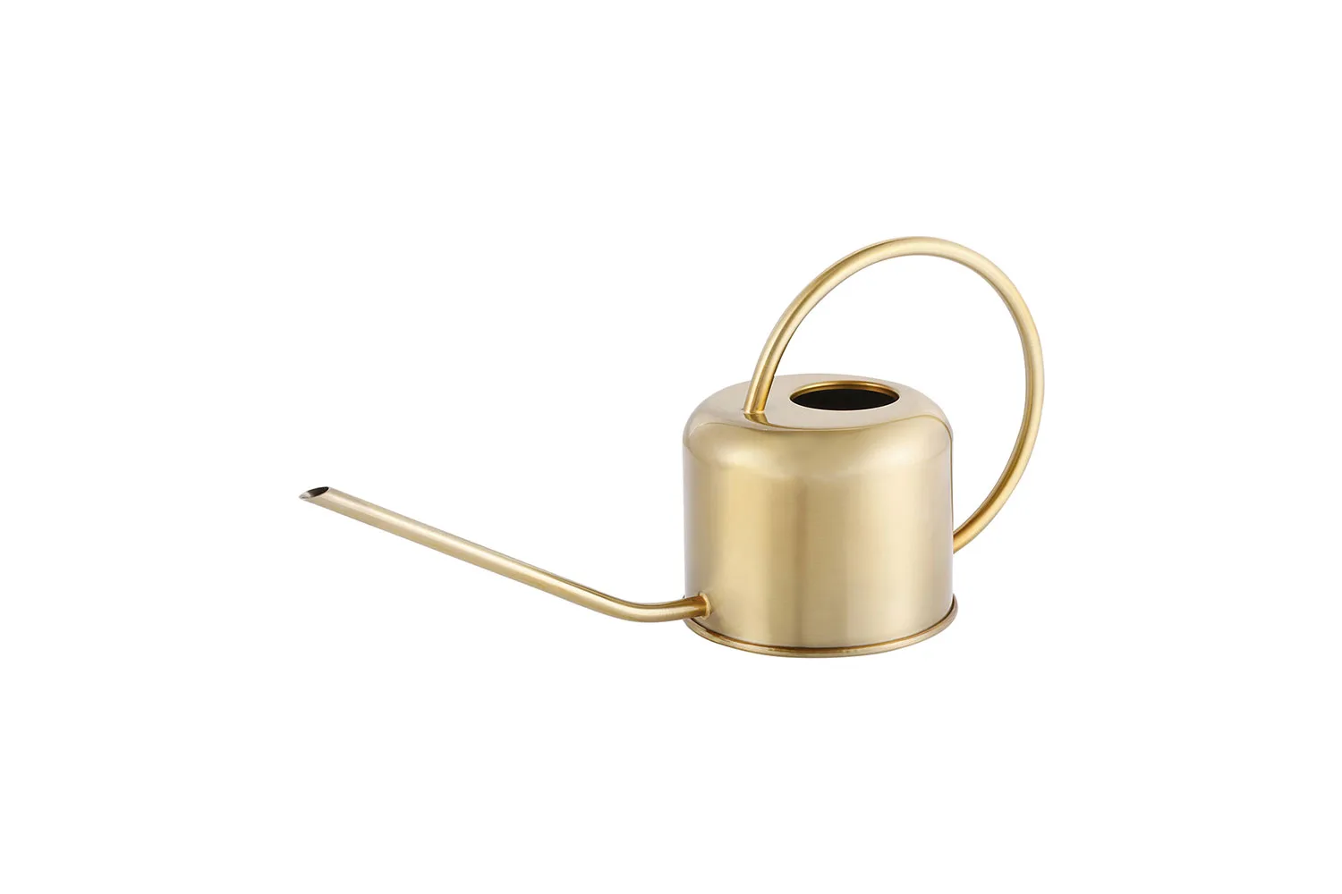 Kmart watering can