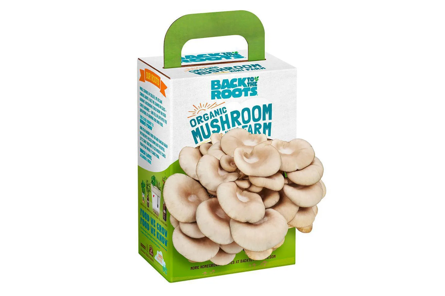 Mushroom growing kit