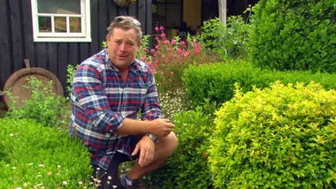 Summertime garden tips