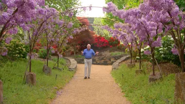 Mayfield Garden walkaround