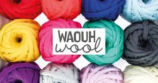 Bergere de France Waouh Wool