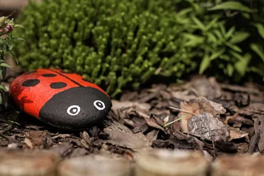 Outdoor projects for kids