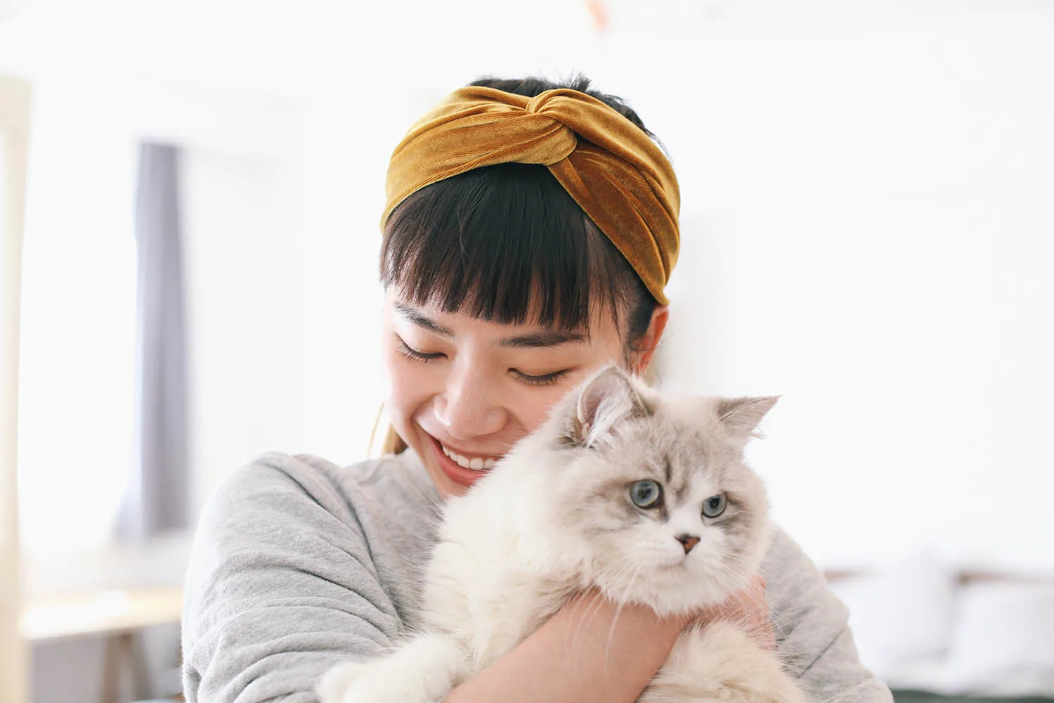 cat-sitter woman holding cat