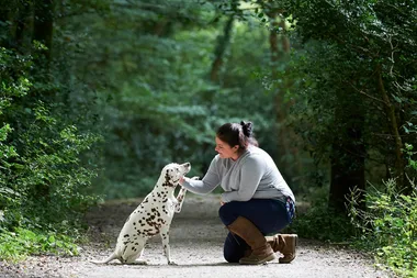 Why you should hire an at-home pet-sitter