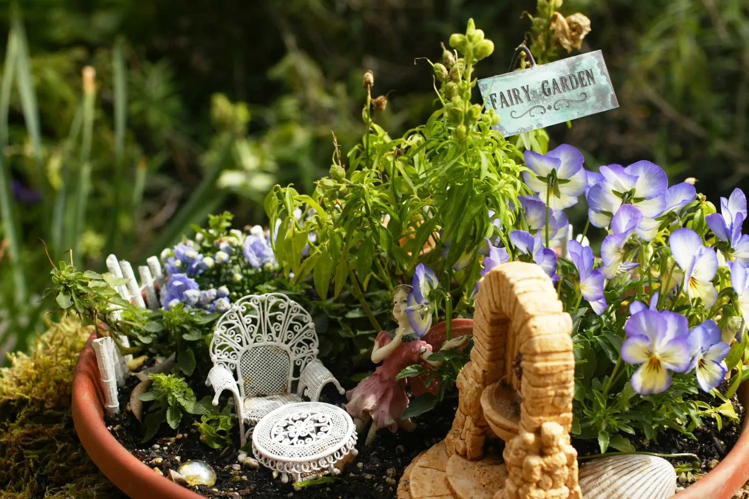 Fairy garden