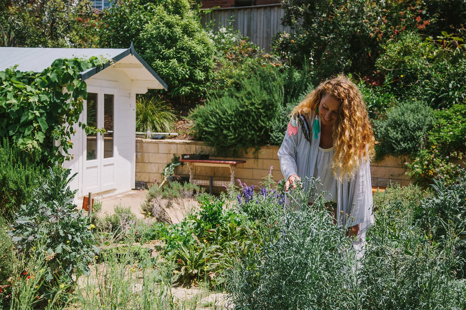 Vaucluse village garden