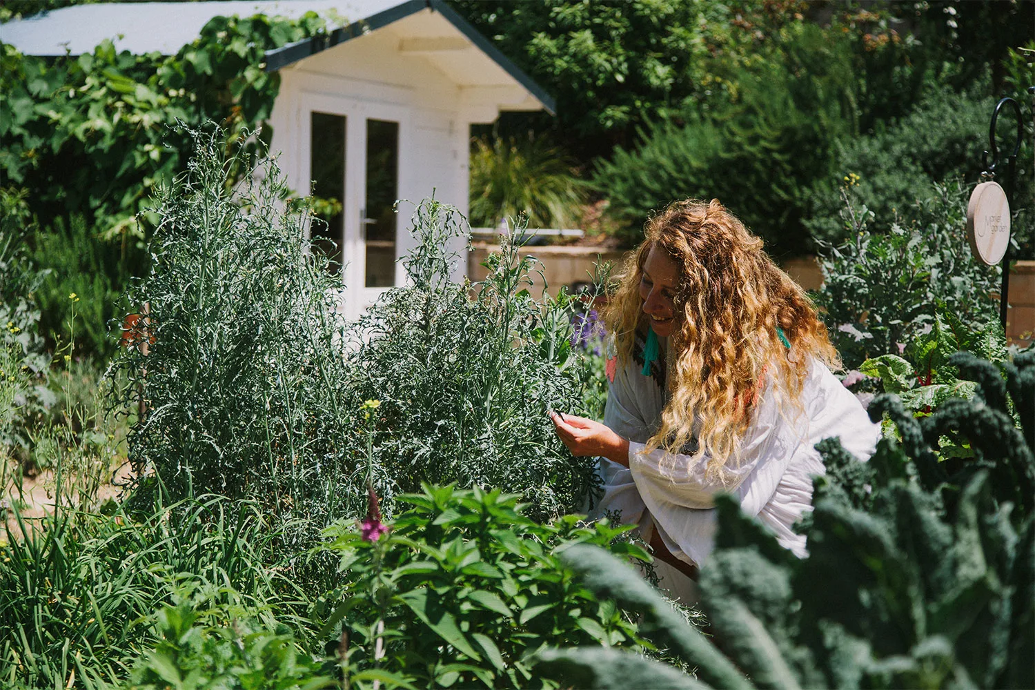 Vaucluse Village garden