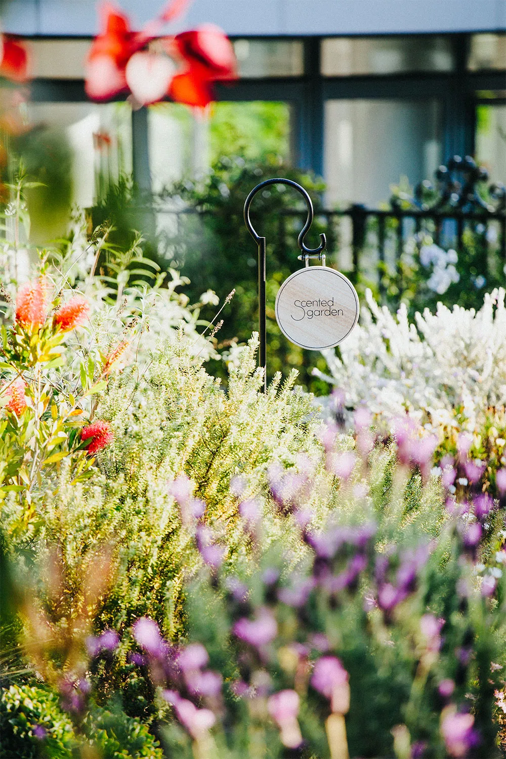 Vaucluse Village garden