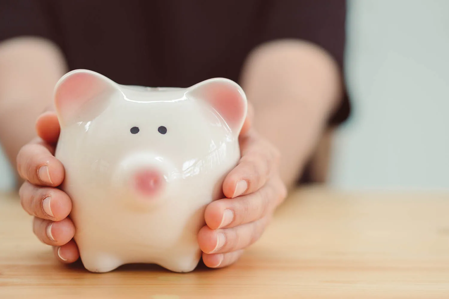 image of person holding a piggy bank