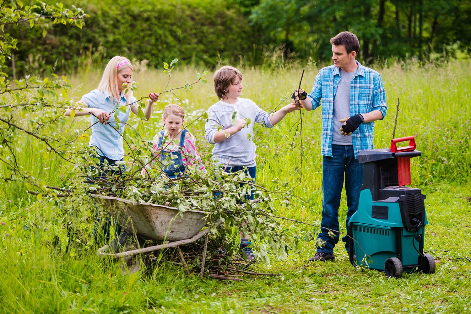 family mulching branches