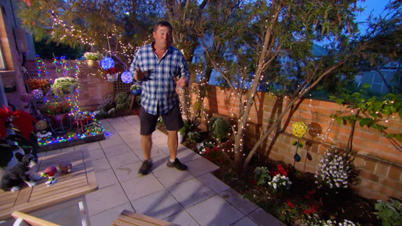 The ultimate Xmas garden