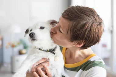 How to pick a trustworthy pet-sitter