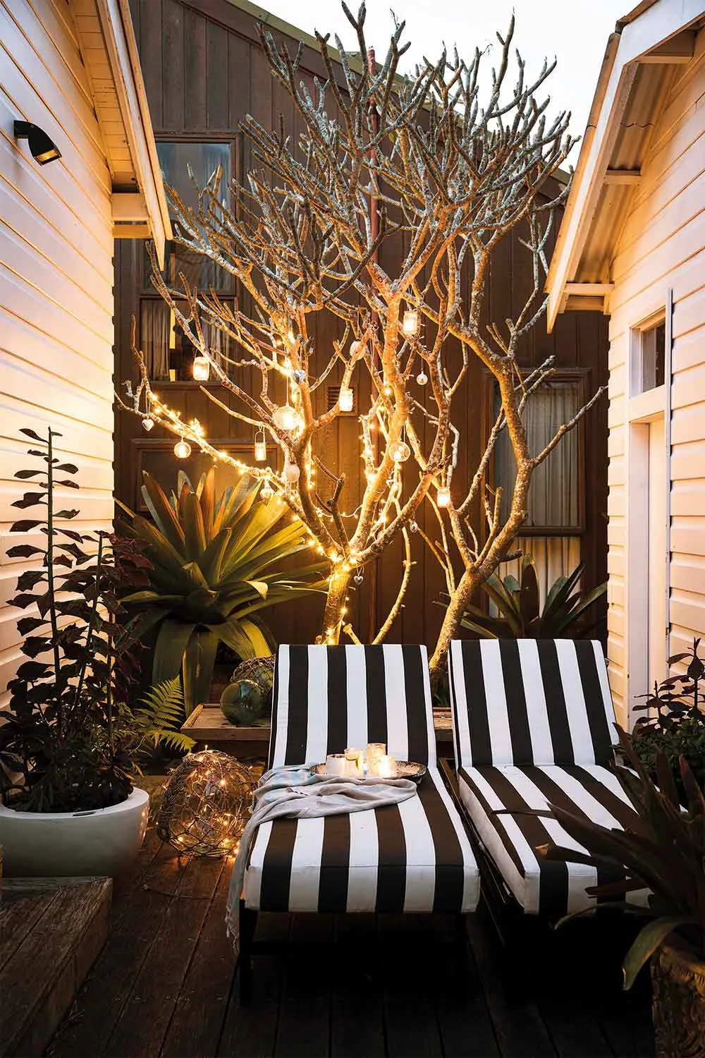 Outdoor setting with lights in tree