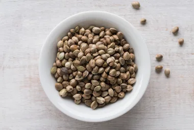 Everything you need to know about hemp seeds